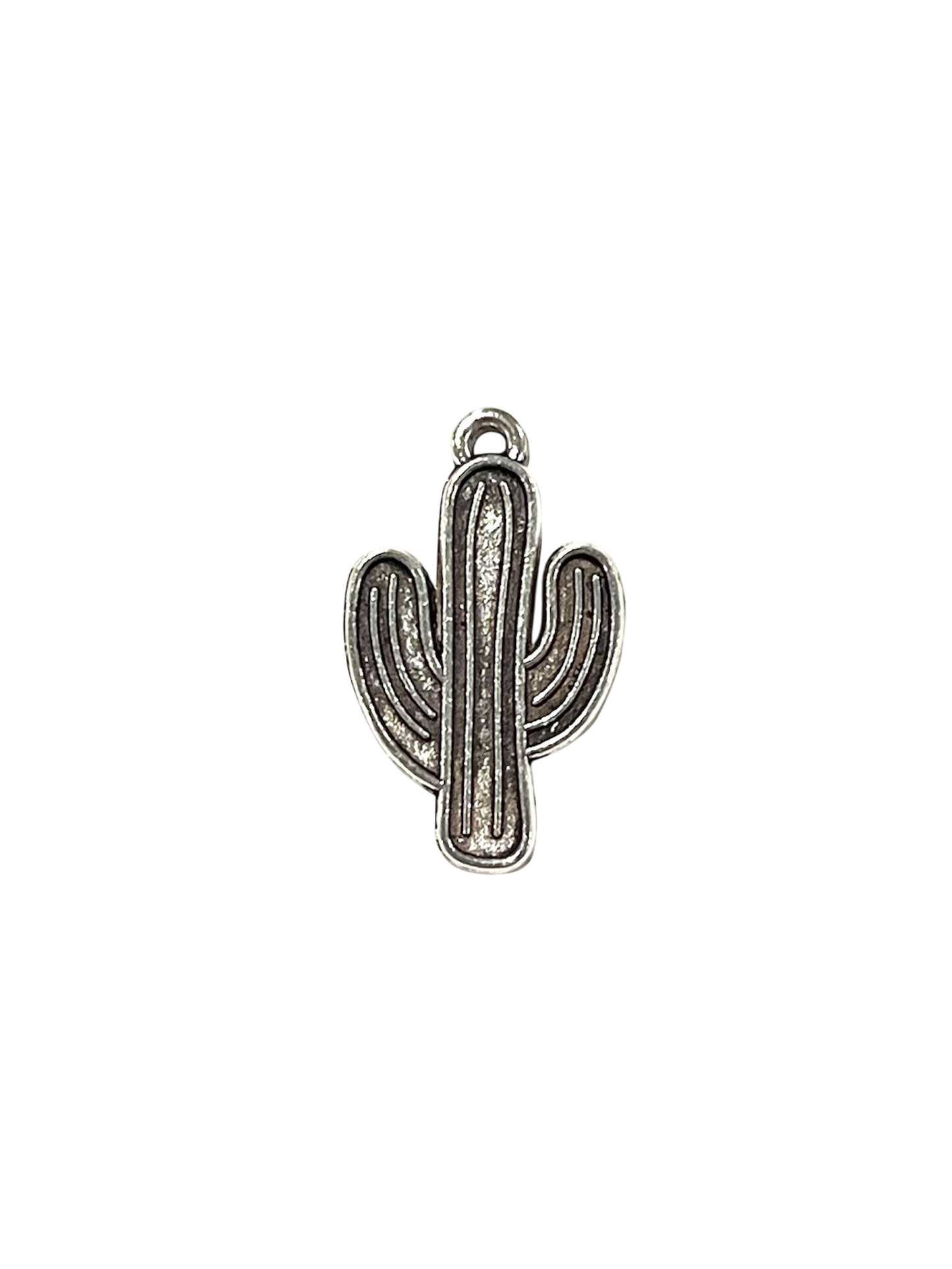 Silver Cactus Charms