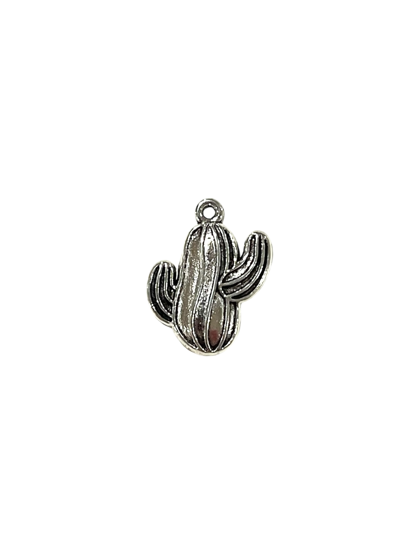 Silver Cactus Charms