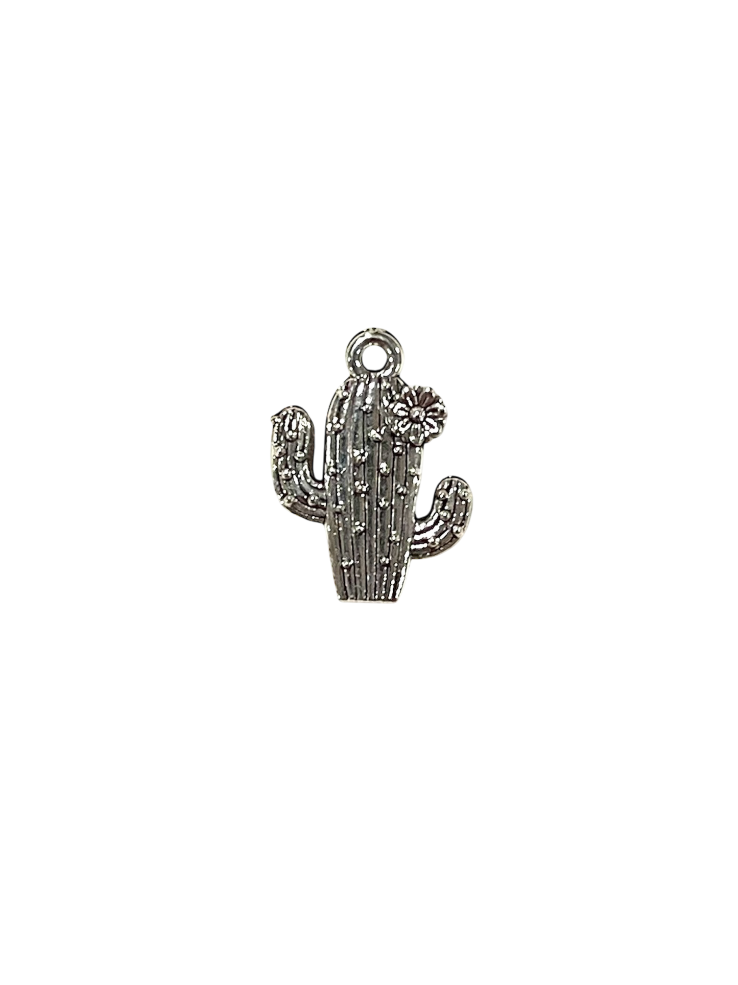 Silver Cactus Charms