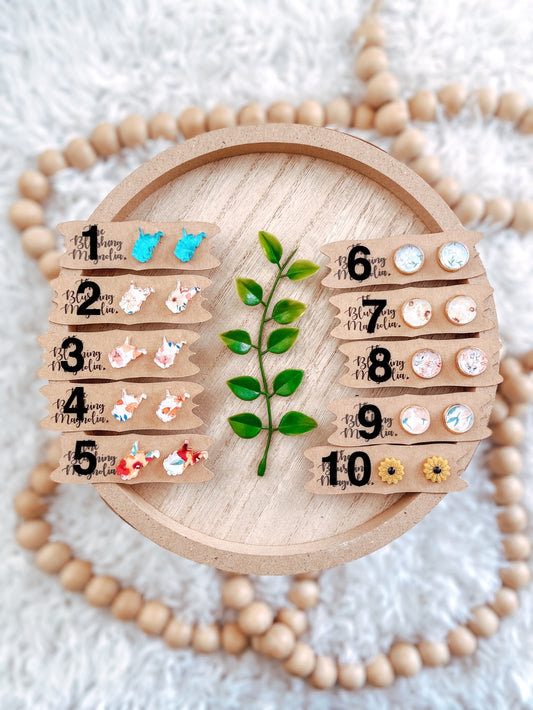 Variety Stud Earrings Single Pack