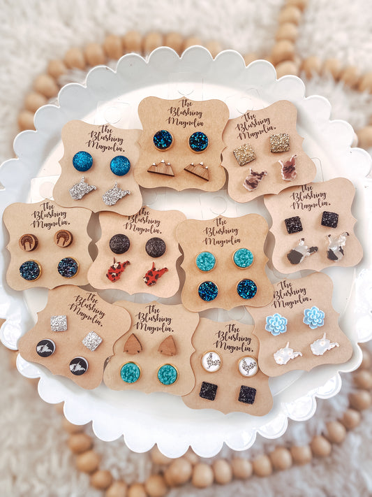 Variety Stud Earrings 2-Packs