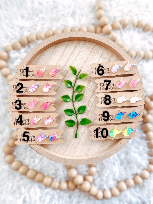 Variety WV Stud Earrings Single Pack